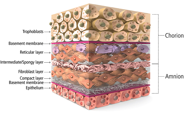 Human Placental Allograft Membranes